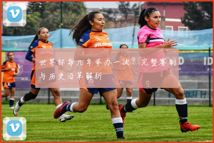 世界杯每几年举办一次?完整赛制与历史沿革解析