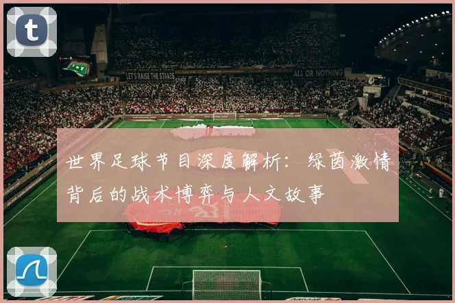 世界足球节目深度解析：绿茵激情背后的战术博弈与人文故事