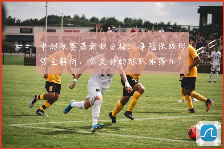 中超联赛最新积分榜：争冠保级形势全解析，你支持的球队排第几？